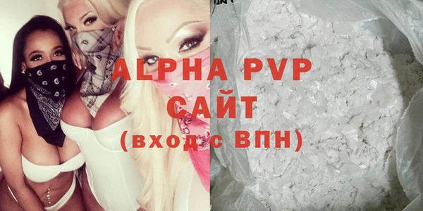 мдпв Гусев