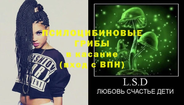 ГАЛЛЮЦИНОГЕННЫЕ ГРИБЫ Лабытнанги