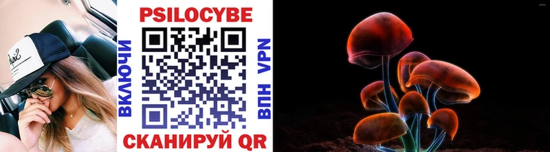 Галлюциногенные грибы Cubensis  Горбатов 